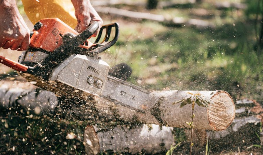 Chainsaws